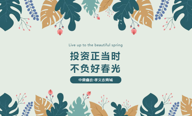 孝義唯一大產(chǎn)權(quán)的農(nóng)批商鋪，投資有保障！